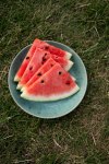 Gettyimages-224450345-Haf-Intrascular-Watermelon